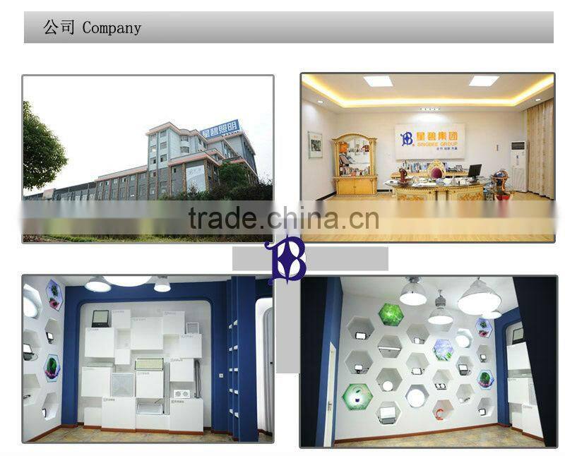 LED Office Light led pannel light with CE&RoHS 2 years warranty Singbee SP-6020