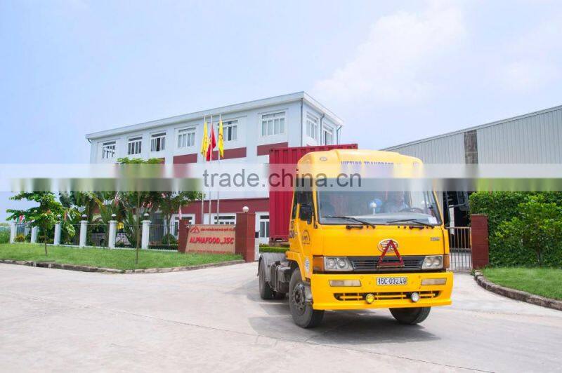 LIPO cream egg cookies high quality- Vietnam