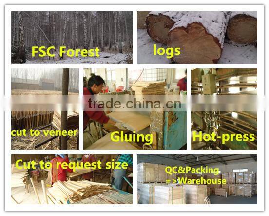 LVL wooden bed slats of layer-glued birch poplar Bed slat