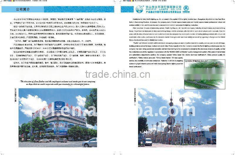 Different design solar street lamps apply to everywhere