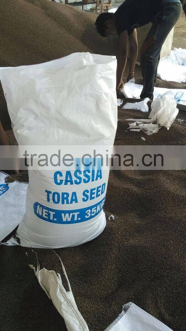 Cassia Tea/Cassia Tora seed/Semen Cassiae Seeds/Cassia Tora seeds from India - CTS