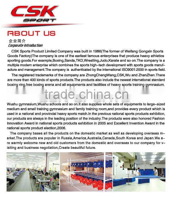 Boxing Punching Bag Fighting Boxing Bag