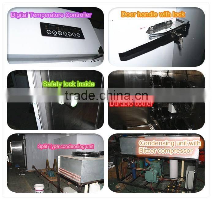 Blast Freezer / Quick freezing machine / Shock freezing machine
