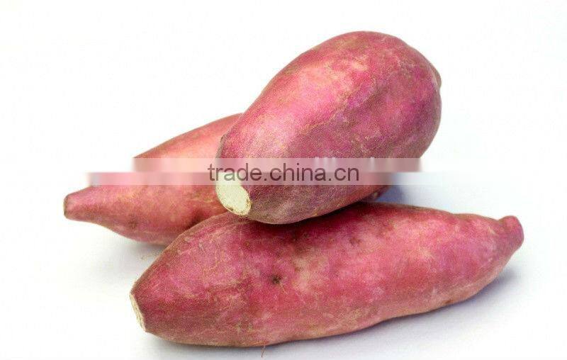 Sweet potato extract