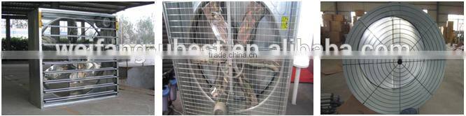 automatic broiler breeding system