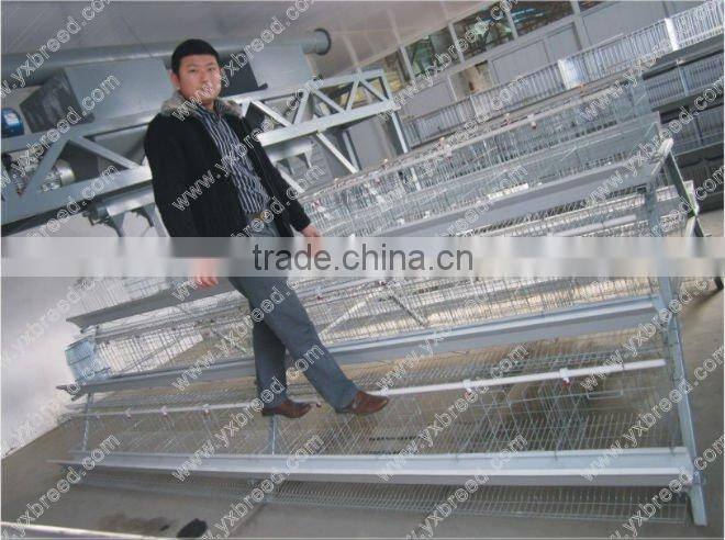 Mesh wire Poultry Chicken Cage of galvanizing steel frame