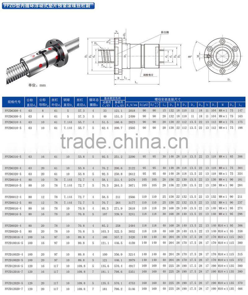 FFZD Type grinding ball screw