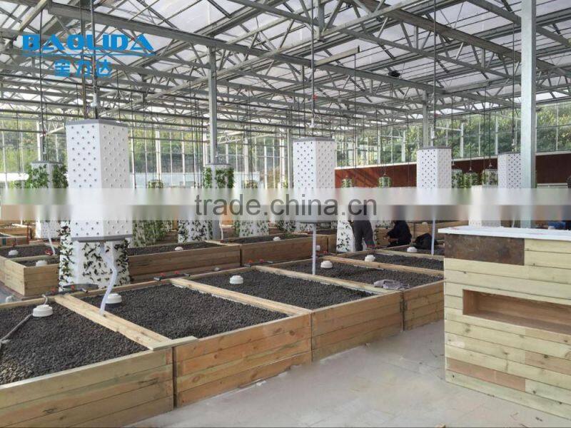 Plastic Film Greenhouse For Mushroom Growing