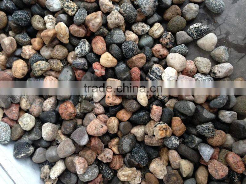 unpolished Natural Mixed Color flat River Pebble Stone
