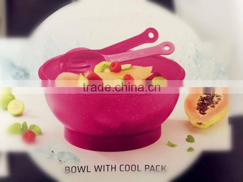 Food grade Salad to go with freezer block