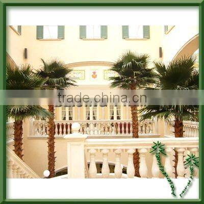 Best Looking Popular Artificial Palm Trees Decorative Artificial Plants