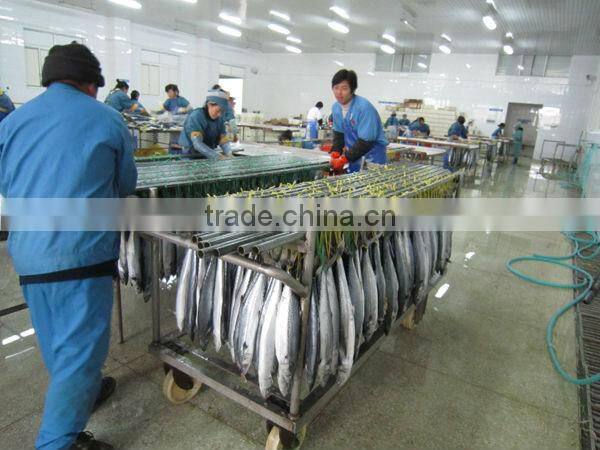 A grade IQF spanish mackerel fillet