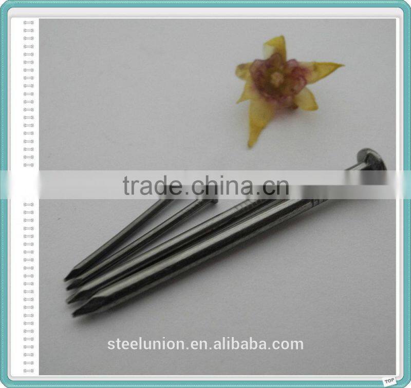 Electro Galvanized Common Wire Nail/Common Iron Wire Nails/Bright Common Nails Factory