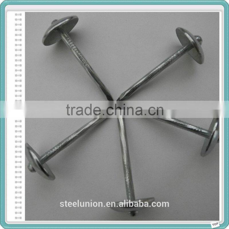 Hot Supply Galvanized Umbrella Head Roofing Nails