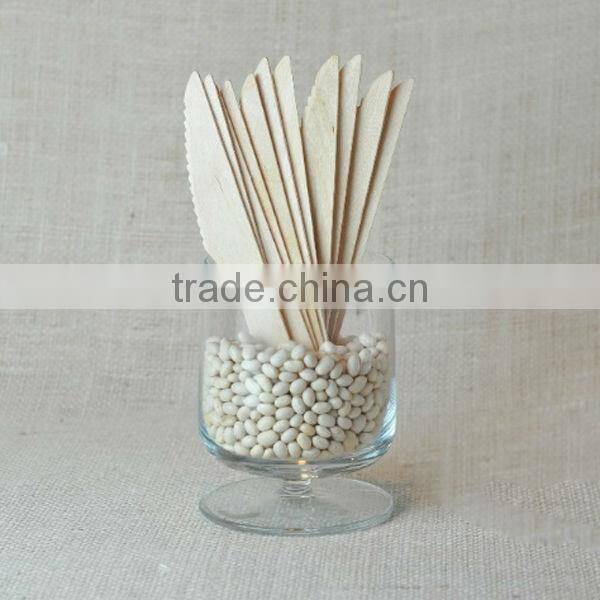 Wholesale Low Price Disposable Fancy Food Grade Party Spoon Salad