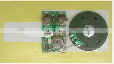 Press button small sound module for gift