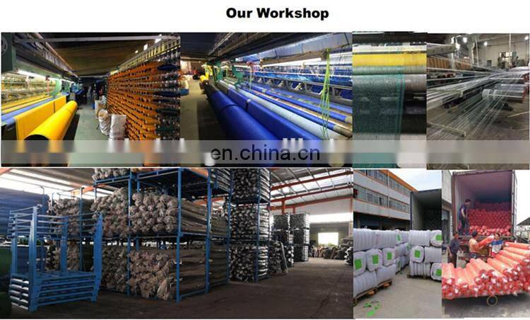 agriculture plastic netting 100 gsm