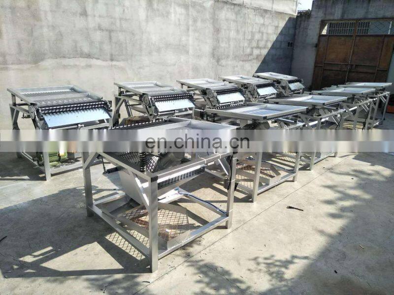 Taizy Industrial Automatic Green Pigeon Peas Peeler Peeling Shelling Machine