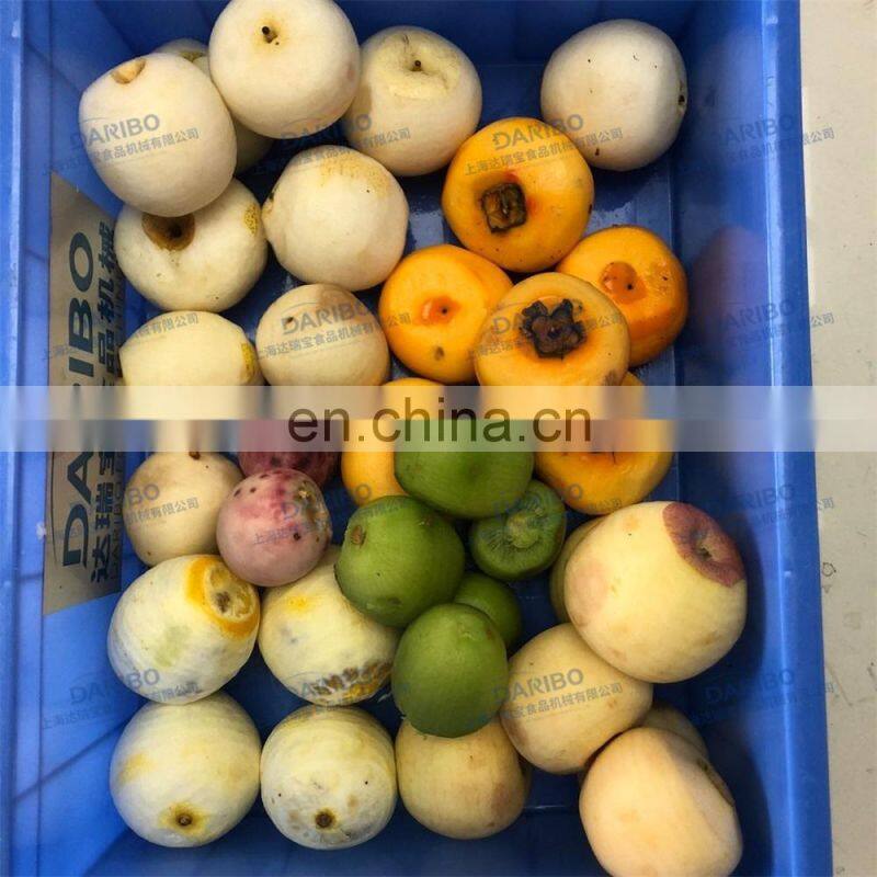 Electrical Melon/Lemon Peeling Machine,Industrial Kiwifruit/Pear/Apple Peeler Machine
