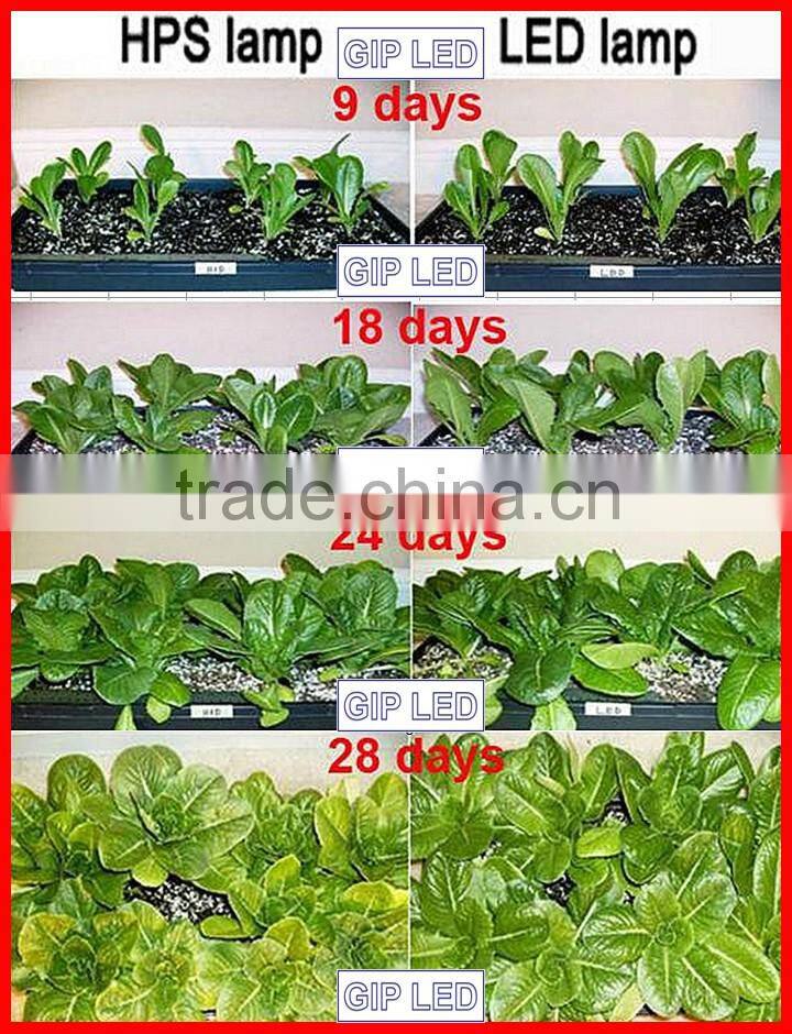 high power 4 cob grow led light veg/bloom switches 2ft 1000w led plant grow light full spectrum 504w cob led grow lights