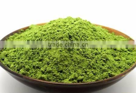 Best Grade Pure Wheat Grass Powder For Hot Sale