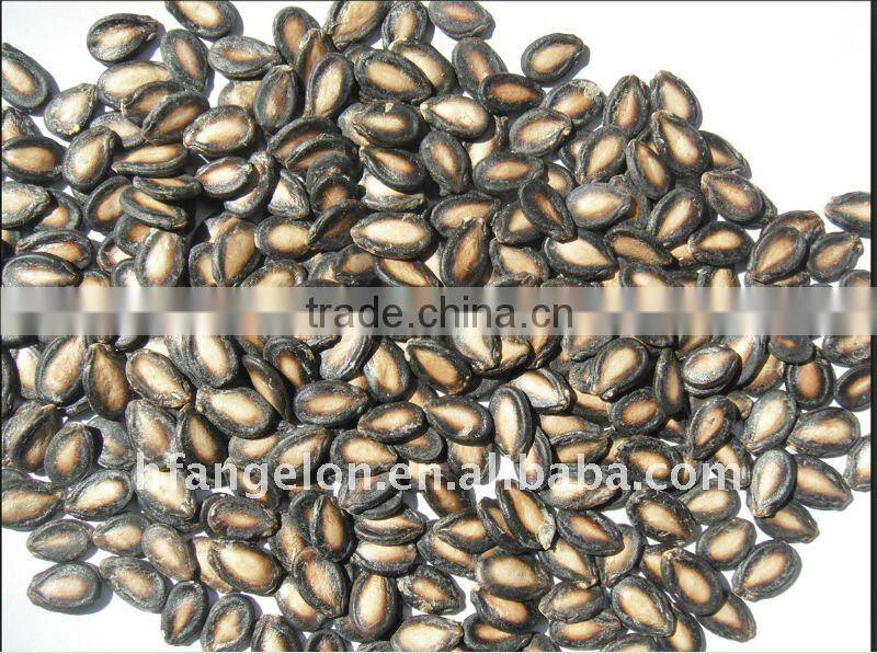 Water Melon Seeds Color Sorting