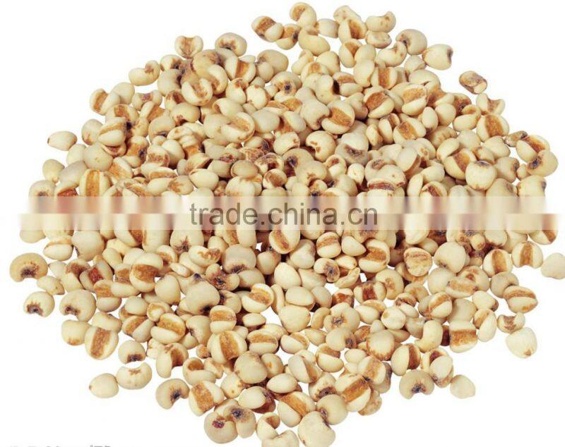 100% Coicis Semen Extract/coix seed powder/Coix seed water concetrate powder