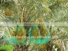 Date Net Bag/Mesh Bag/Fruit Dilly Bag