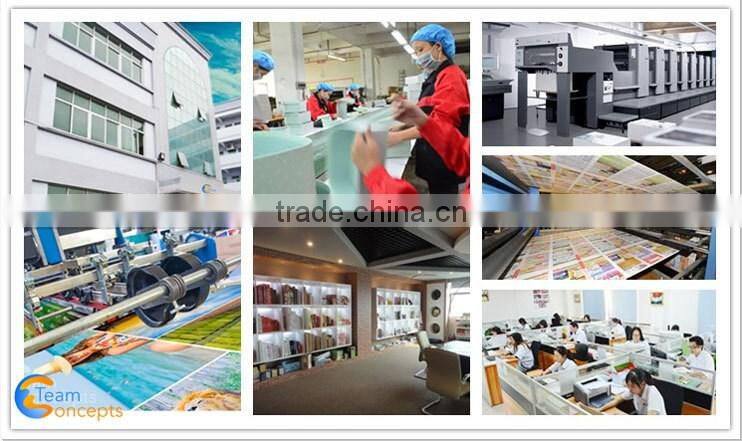 Cheap art paper professional leaflet
