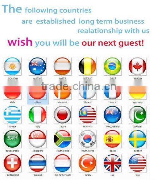 Factory Price Daytime Running Light/DRL For Special car