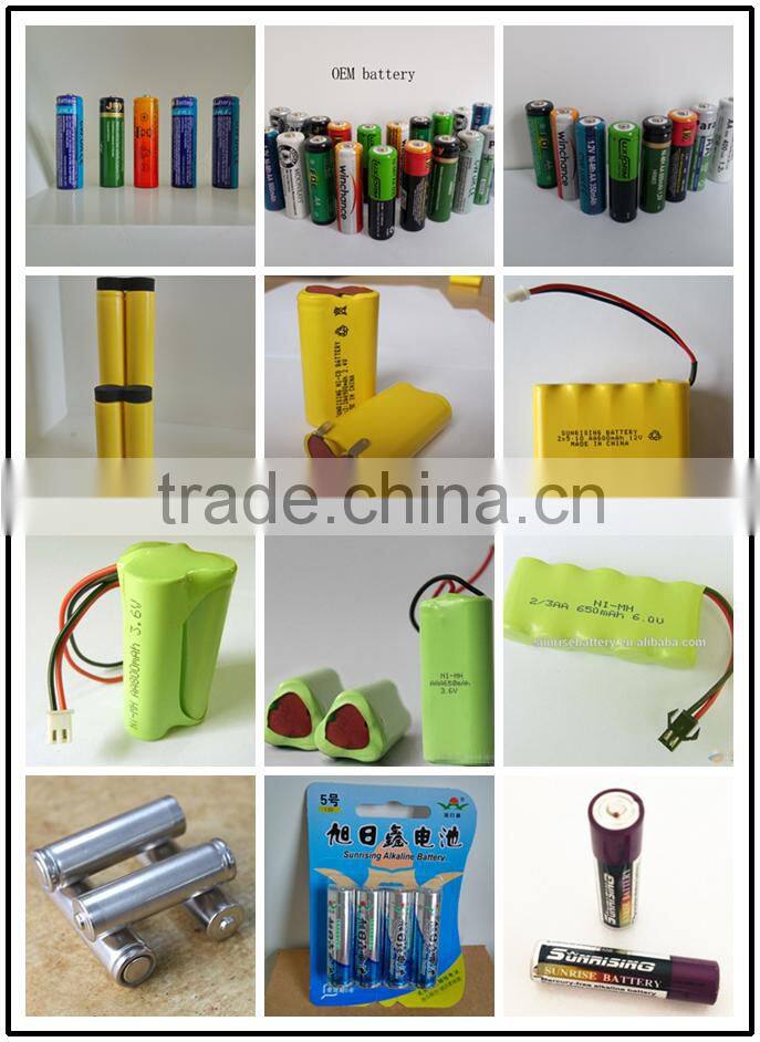24V 2*10ni-cd SC2000 rechargeable battery