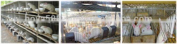 high quality advanized large animal cages for sale