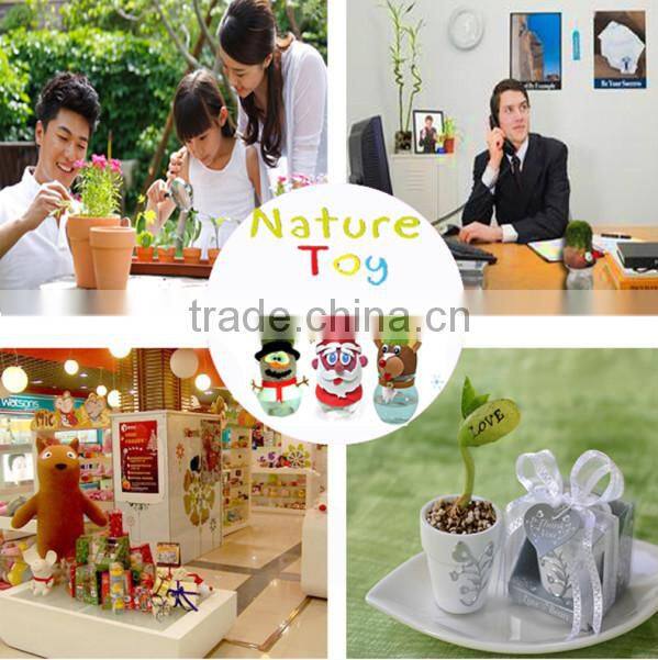 Garden Decoration indoor plant pots mini planters buy flower online