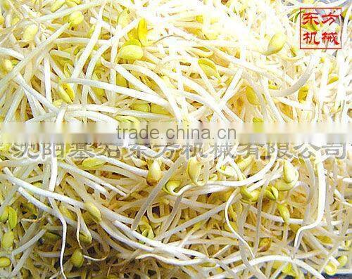 high quality black bean sprouts machine 2015 new product,automatic bean sprout machine