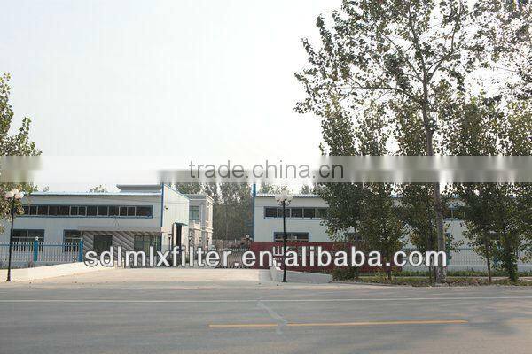 High quality diesel generator fuel water separator FS1242