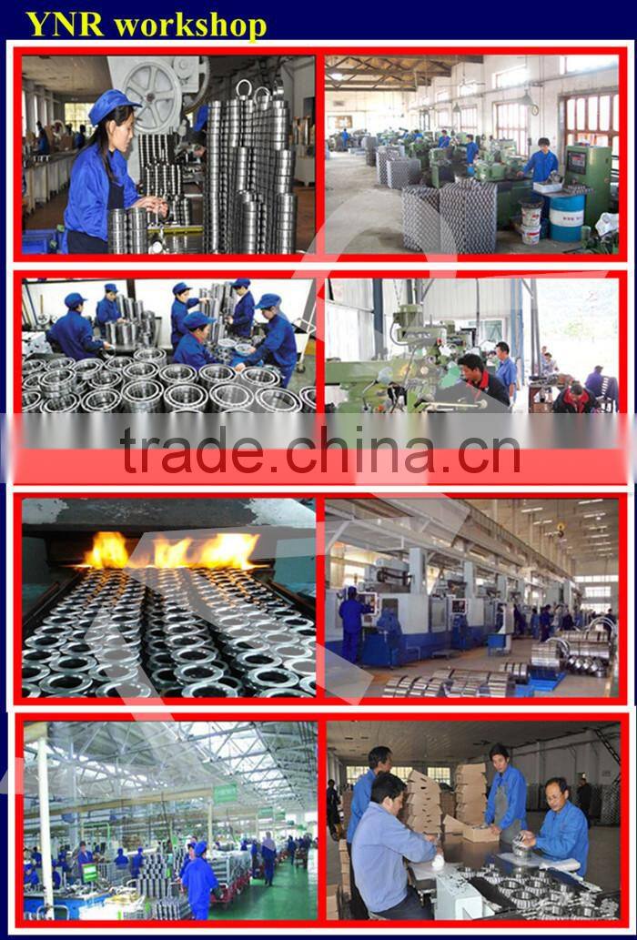 Double Row Full complement Cylindrical Roller Bearing SL014934