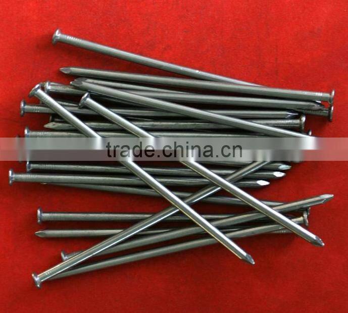 Common Nails with good quality