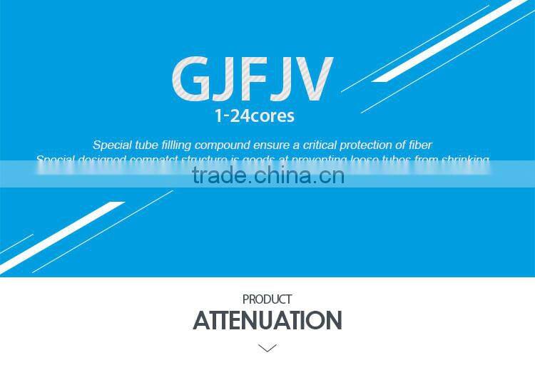 indoor multipurpose distribution cable GJFJV