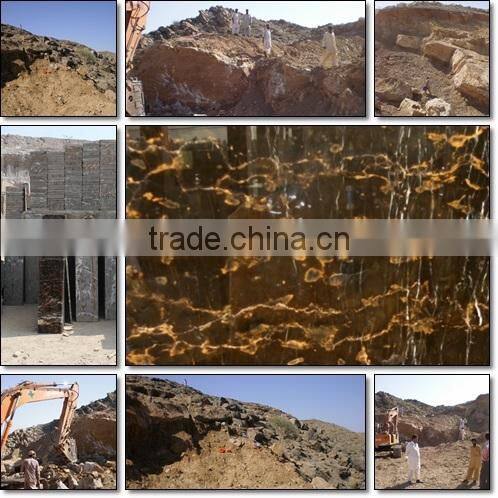 Black & Gold Marble Tiles