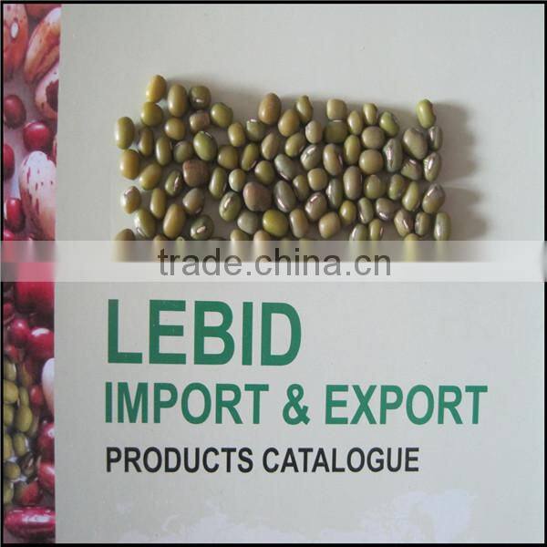 Chinese Wholesale Green Mung Bean 2015 Crop