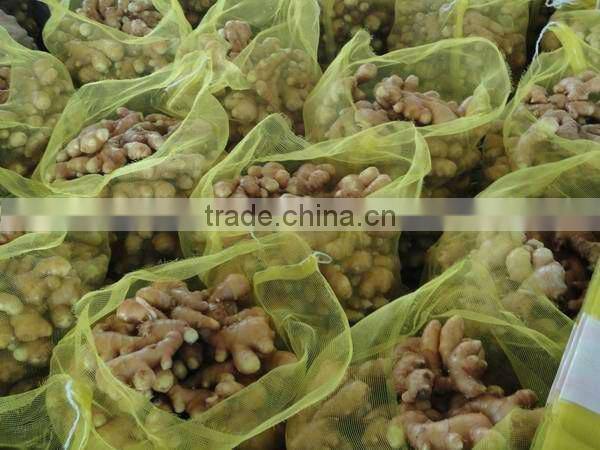 fresh yellow Ginger,thin ginger
