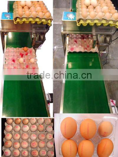 carton date code printing machine/laser marking machine for date code/date coding machine printing machine