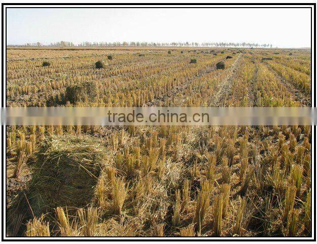 Biomass Machine suitable for a Flat Die Tractor