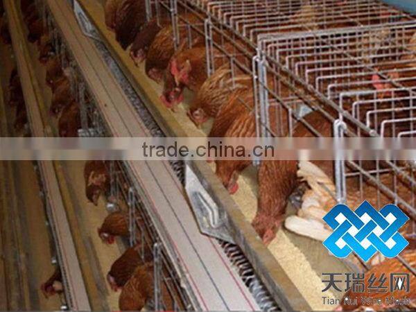 A type 3 layer poultry chicken cages