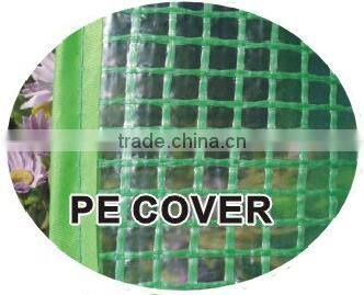 Large Walk-In Greenhouse