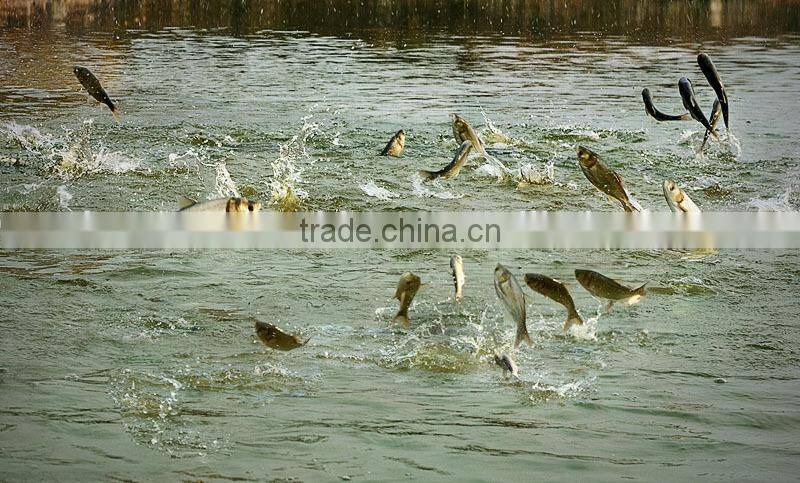 Factory offer yugong pellet machine