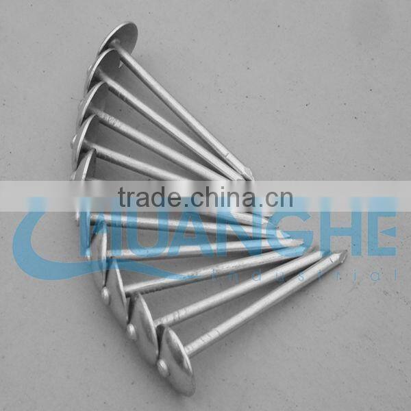 stainless steel roofing nails