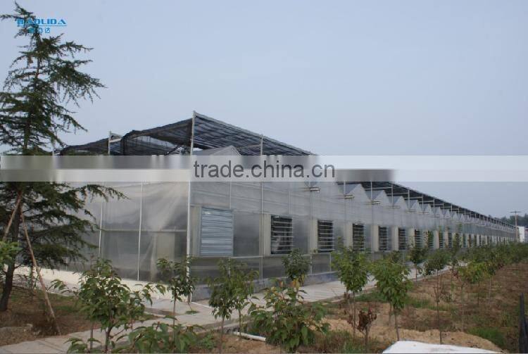 Low Cost Plastic Film Greenhouse For Vegetables & agriculture greenhouse