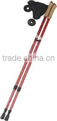 mountain walking stick 52277