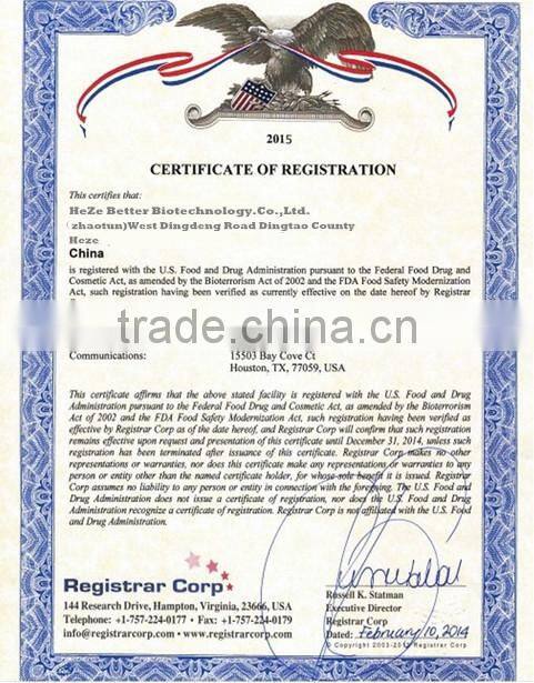 FDA Approved health intestine ginger tea